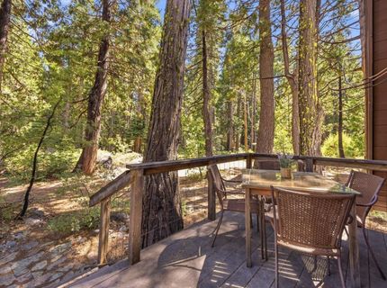 665 N Fork Pl, Emigrant Gap, CA 95715 Photo