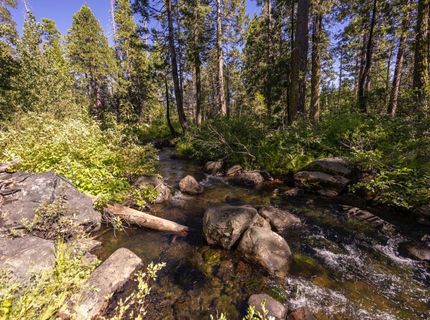 665 N Fork Pl, Emigrant Gap, CA 95715 Photo