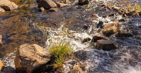 665 N Fork Pl, Emigrant Gap, CA 95715 Photo