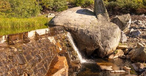 665 N Fork Pl, Emigrant Gap, CA 95715 Photo