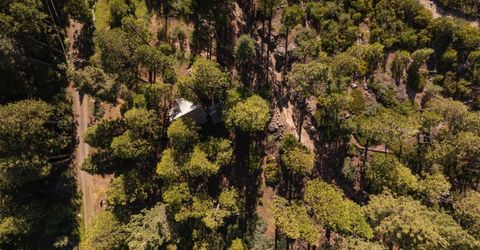 665 N Fork Pl, Emigrant Gap, CA 95715 Photo