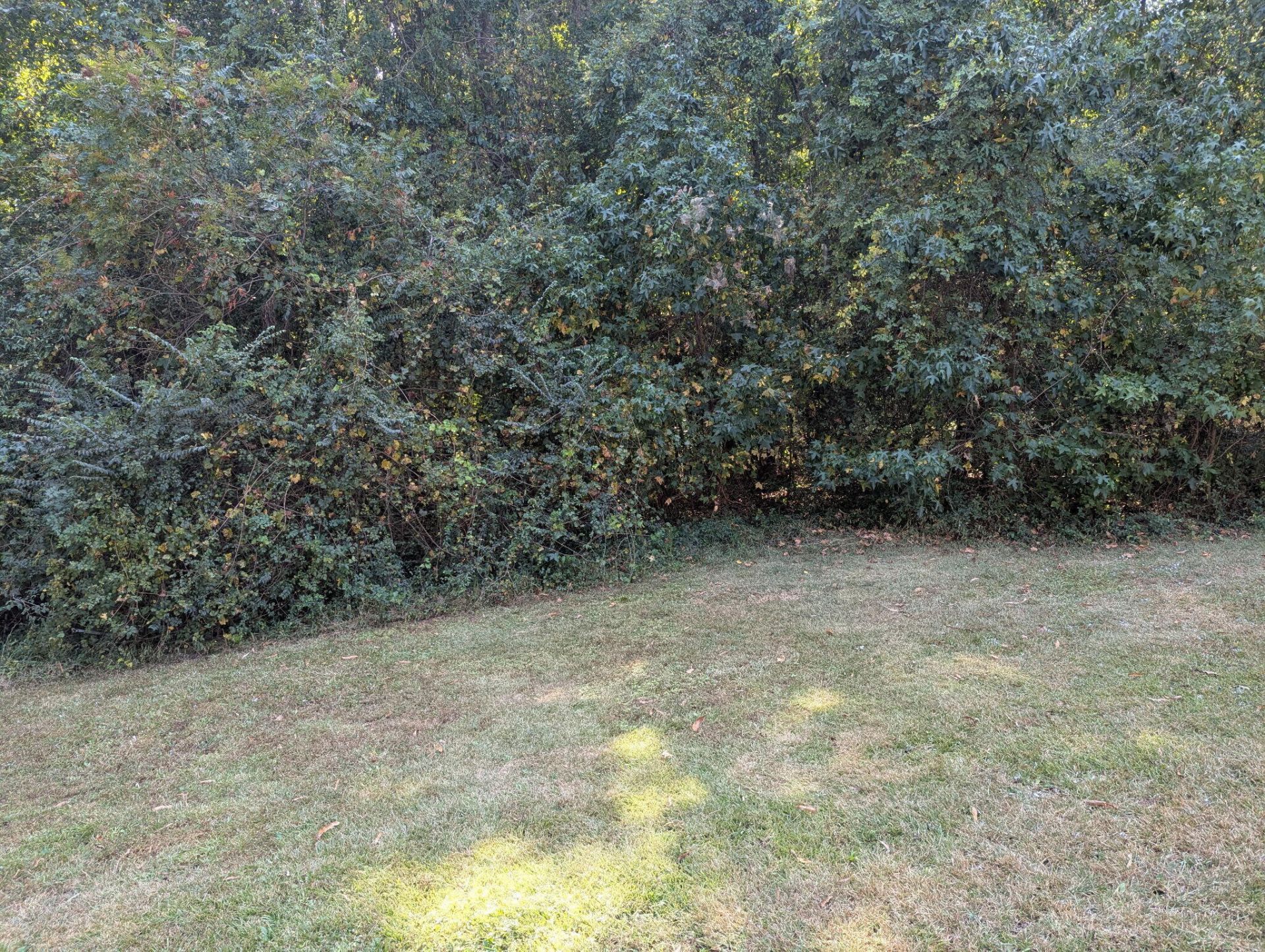 605 S Rucker Drive Photo 12