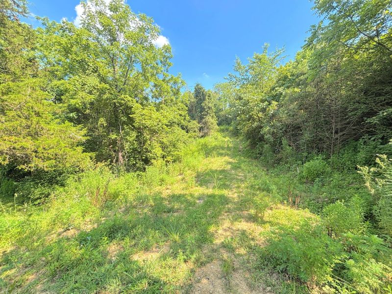 15935 Madison Pike, Demossville, KY 41033 Photo 7