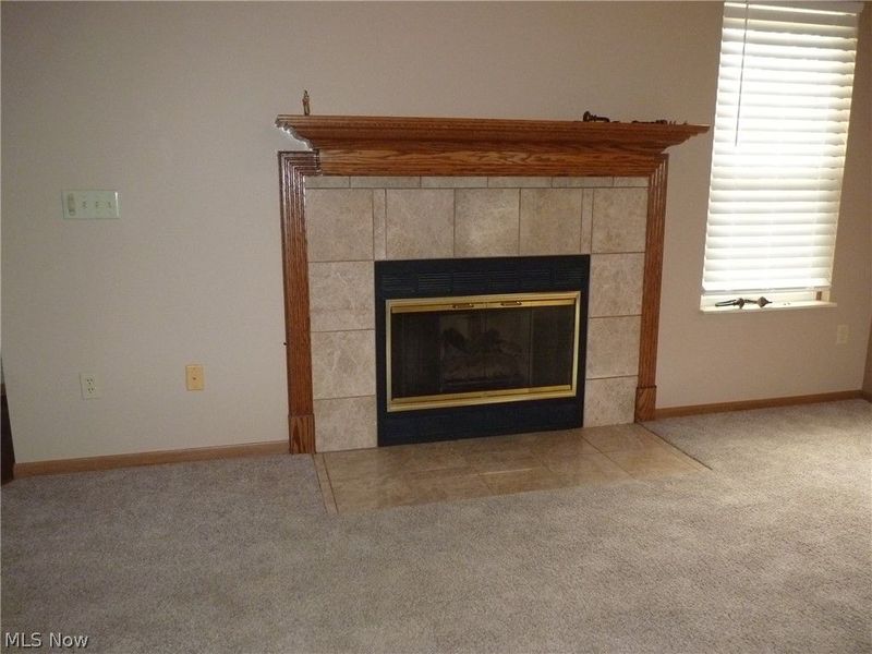 50 Stratford Green Drive, Unit 4, Canfield, OH 44406 Photo 13