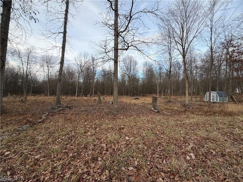 W Nevada Avenue, Sebring, OH 44672 Photo 2