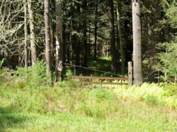 2199 State Route 42, Forestburgh, NY 12777