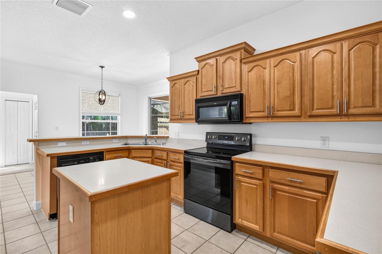 19337 Spring Oak Drive, Eustis, FL 32736 Photo