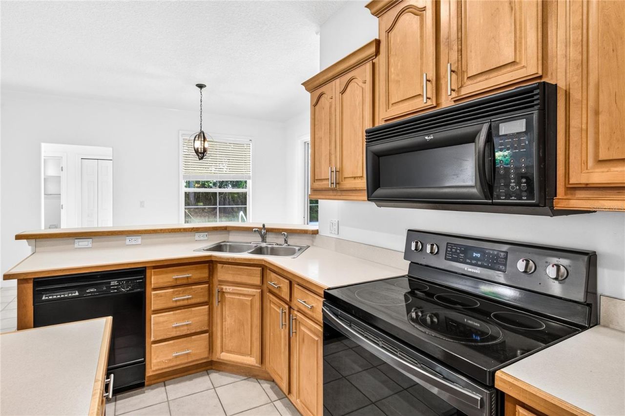 19337 Spring Oak Drive, Eustis, FL 32736 Photo