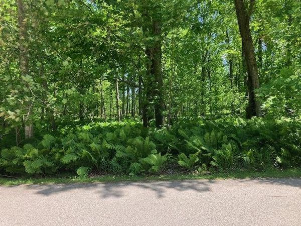 TBD Maple Isle Court, Unit 34, Alanson, MI 49706