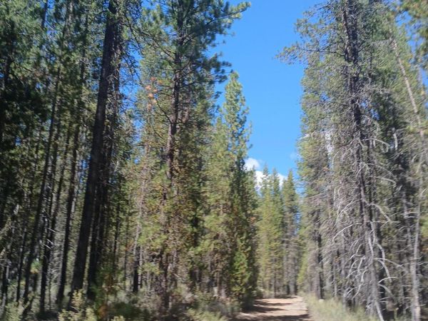 0 Schoonover 5 Road, Unit Lot #3600, Crescent, OR 97733