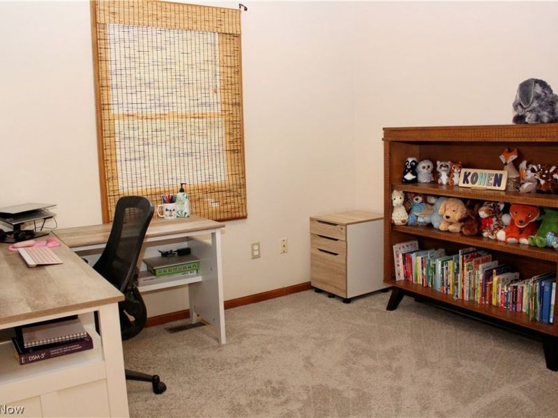9555 S Salem Warren Road, Salem, OH 44460 Photo 26