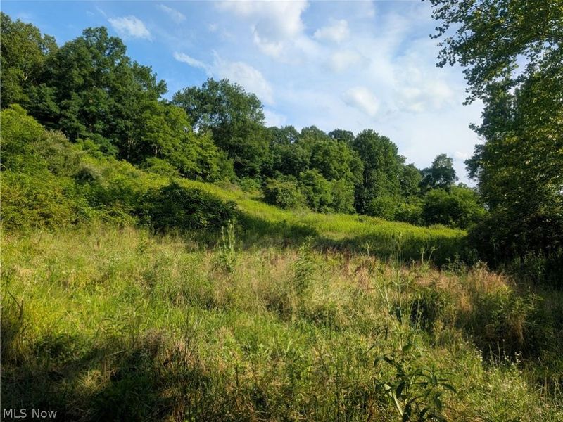 5045 Tract C E Reinersville Road, McConnelsville, OH 45786 Photo 15