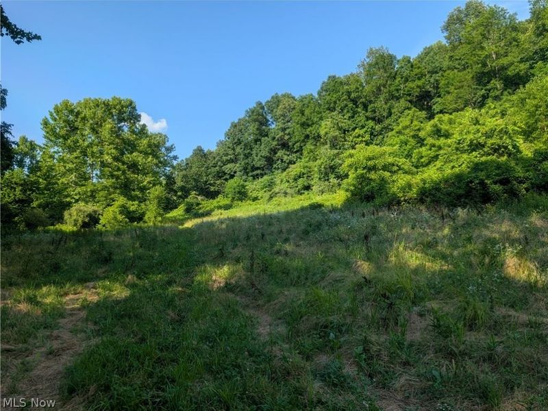 5045 Tract C E Reinersville Road, McConnelsville, OH 45786 Photo 16