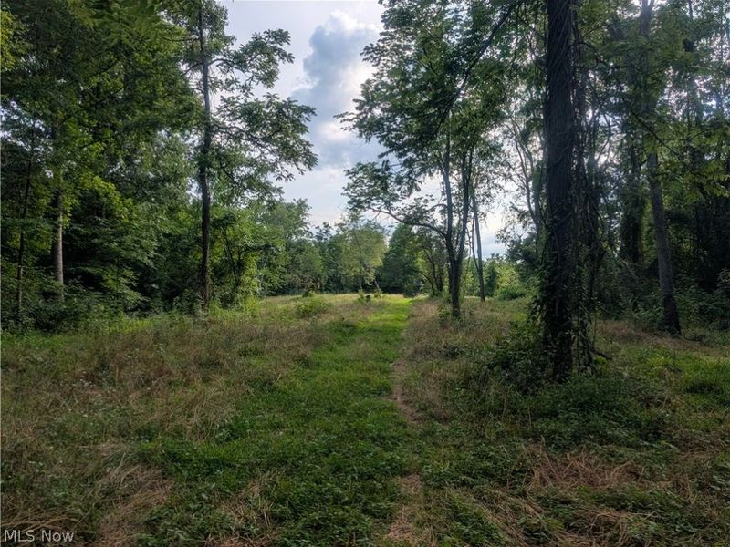 5045 Tract C E Reinersville Road, McConnelsville, OH 45786 Photo 18