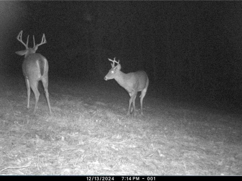 5045 Tract C E Reinersville Road, McConnelsville, OH 45786 Photo 20