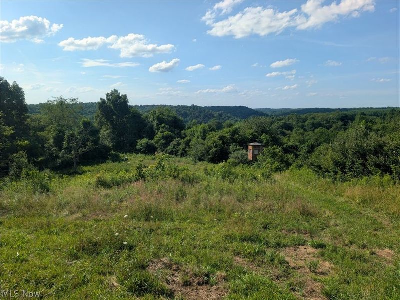5045 Tract C E Reinersville Road, McConnelsville, OH 45786 Photo 5