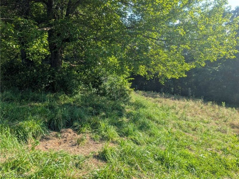 5045 Tract C E Reinersville Road, McConnelsville, OH 45786 Photo 8