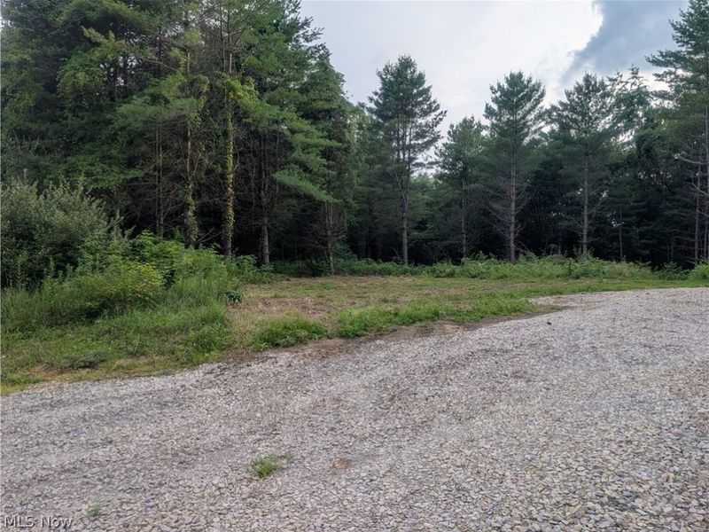 0 Tract A E Reinersville Road, Caldwell, OH 43724 Photo 11