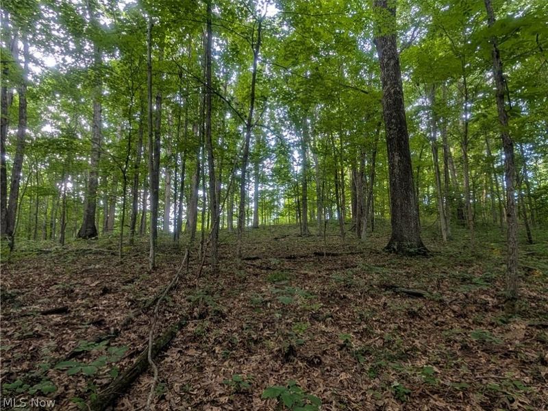 0 Tract A E Reinersville Road, Caldwell, OH 43724 Photo 7