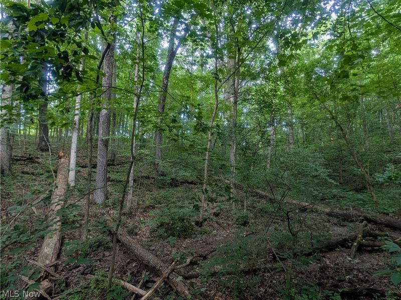 0 Tract A E Reinersville Road, Caldwell, OH 43724 Photo 9