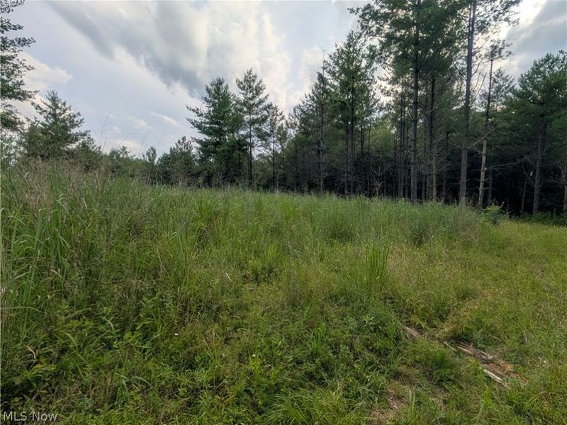0 Tract B Brownrigg Road, Caldwell, OH 43724 Photo 10