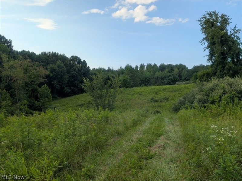 0 Tract B Brownrigg Road, Caldwell, OH 43724 Photo 11