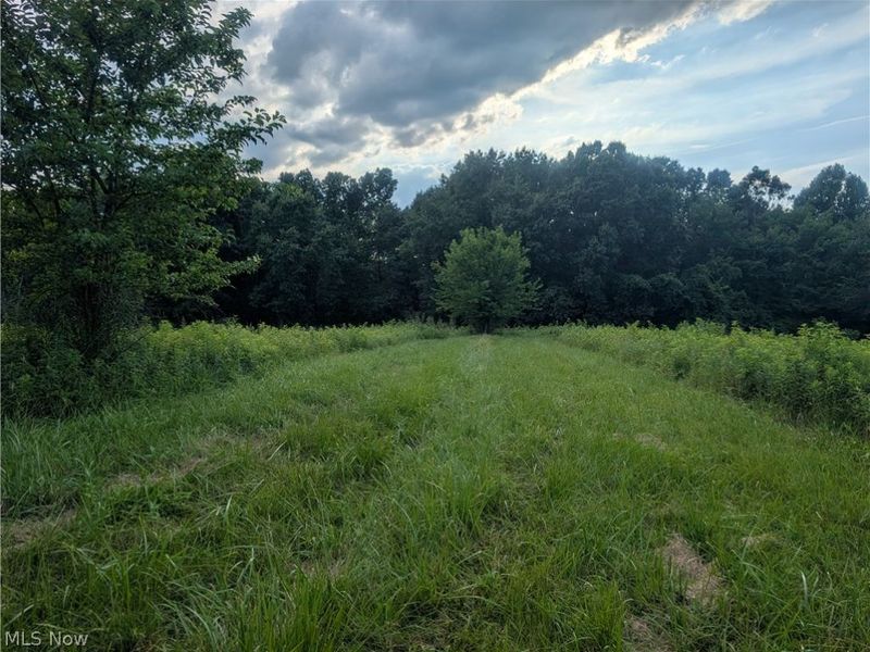 0 Tract B Brownrigg Road, Caldwell, OH 43724 Photo 12