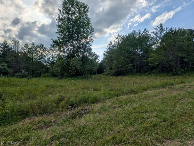 0 Tract B Brownrigg Road, Caldwell, OH 43724 Photo 13