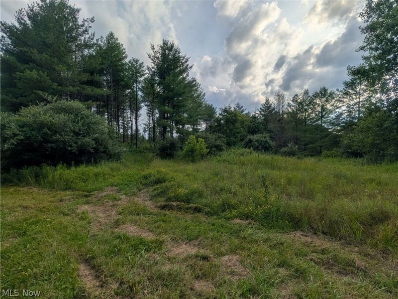0 Tract B Brownrigg Road, Caldwell, OH 43724 Photo 8