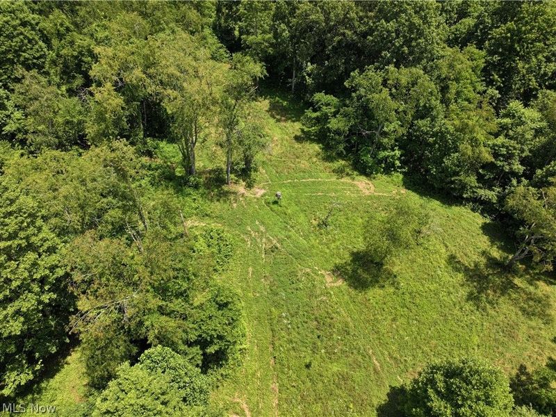 0 Tract ABCD Early Ridge Road, McConnelsville, OH 45786 Photo 10