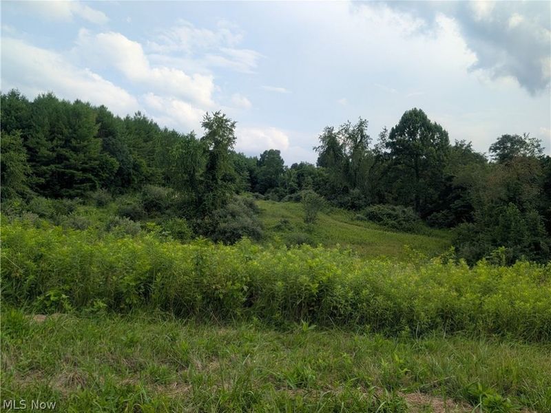 0 Tract ABCD Early Ridge Road, McConnelsville, OH 45786 Photo 12