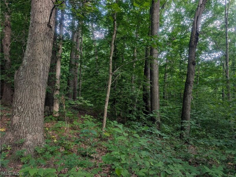0 Tract ABCD Early Ridge Road, McConnelsville, OH 45786 Photo 20