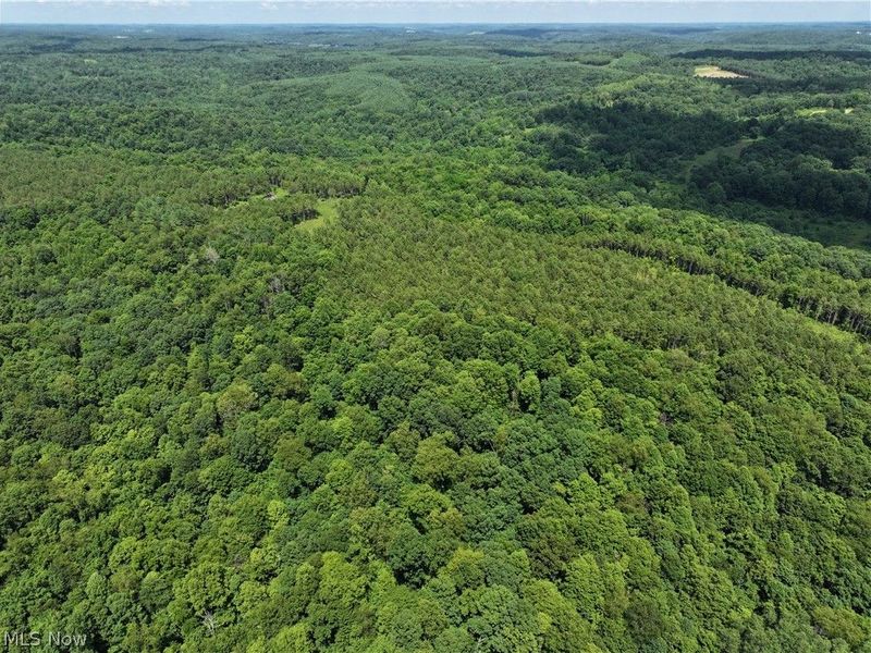 0 Tract ABCD Early Ridge Road, McConnelsville, OH 45786 Photo 26