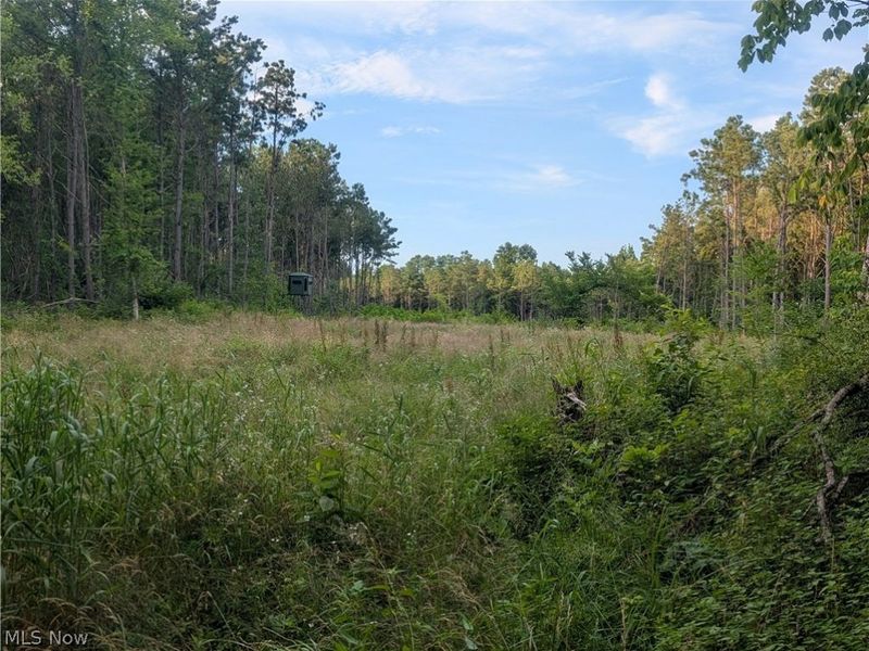 0 Tract ABCD Early Ridge Road, McConnelsville, OH 45786 Photo 27