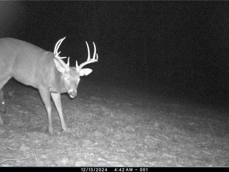 0 Tract ABCD Early Ridge Road, McConnelsville, OH 45786 Photo 29