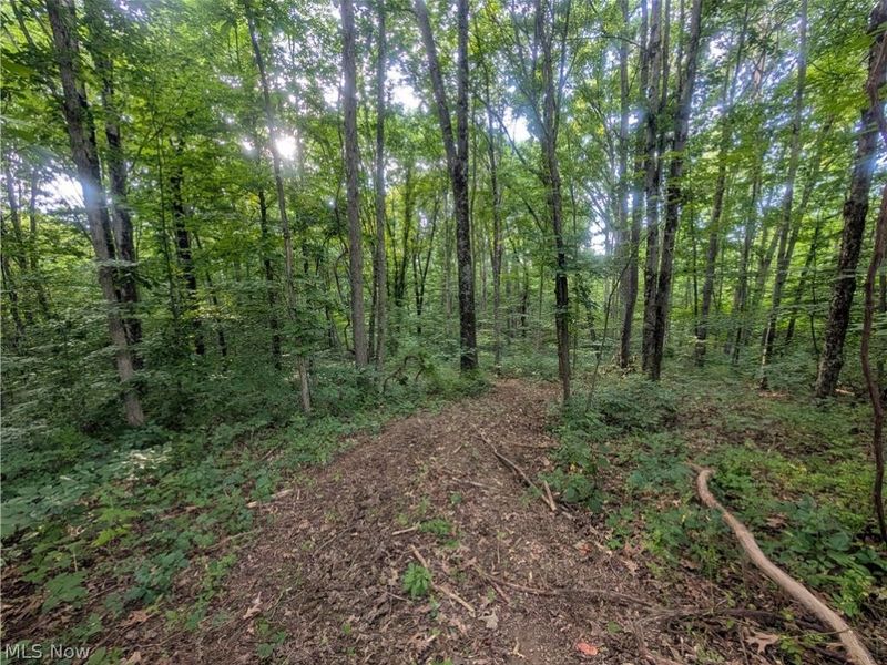 0 Tract ABCD Early Ridge Road, McConnelsville, OH 45786 Photo 5