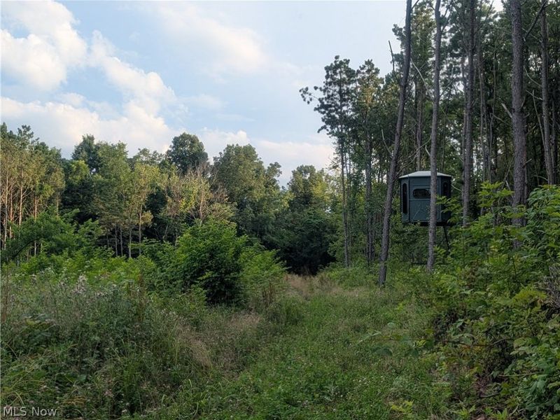 0 Tract D E. Reinersville Road, McConnelsville, OH 45786 Photo 11