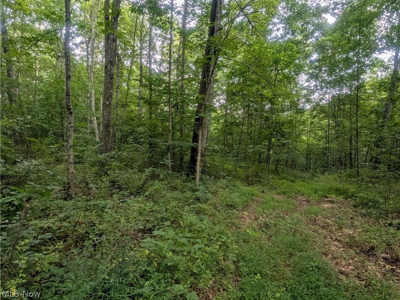 0 Tract D E. Reinersville Road, McConnelsville, OH 45786 Photo 12