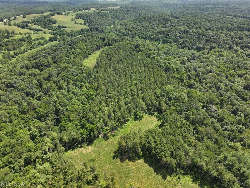 0 Tract D E. Reinersville Road, McConnelsville, OH 45786 Photo 15
