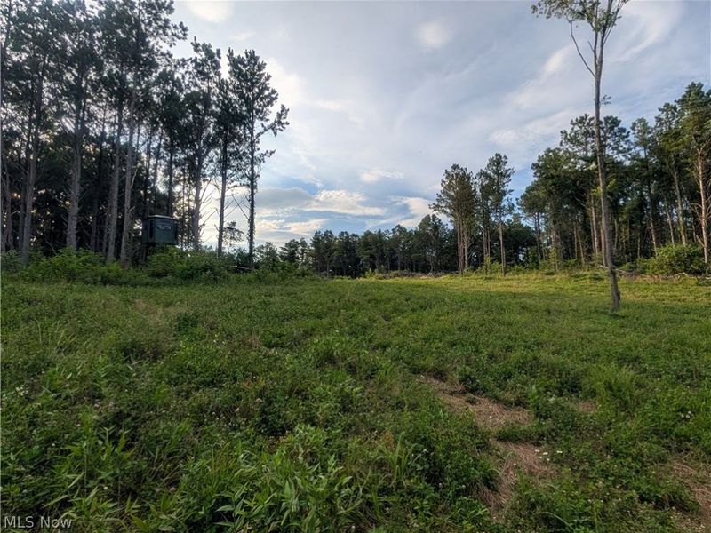 0 Tract D E. Reinersville Road, McConnelsville, OH 45786 Photo 2