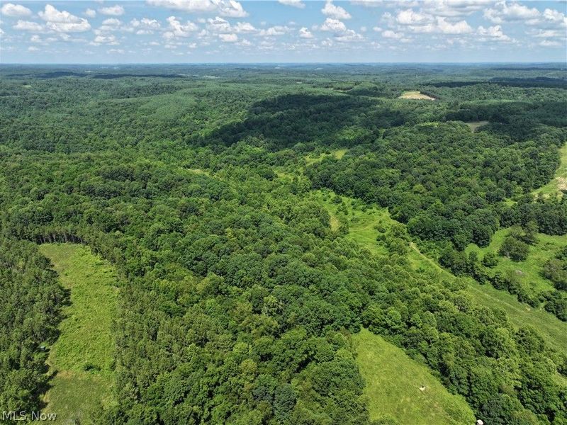 0 Tract D E. Reinersville Road, McConnelsville, OH 45786 Photo 4