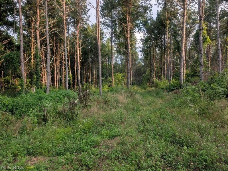 0 Tract D E. Reinersville Road, McConnelsville, OH 45786 Photo 8