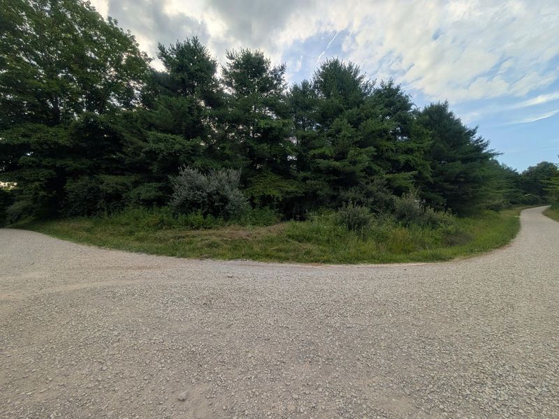 Tract A E. Reinersville Road , Caldwell, OH 43724 Photo 10