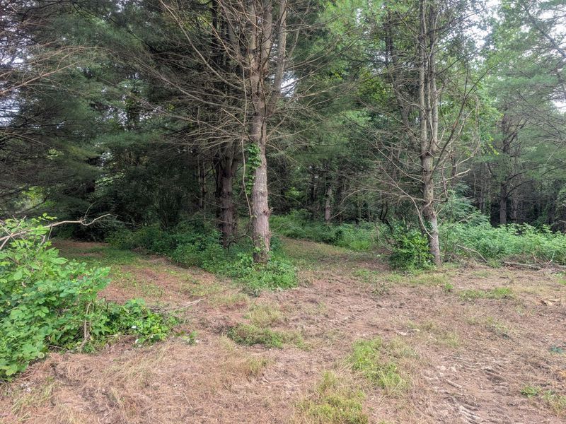 Tract A E. Reinersville Road , Caldwell, OH 43724 Photo 8
