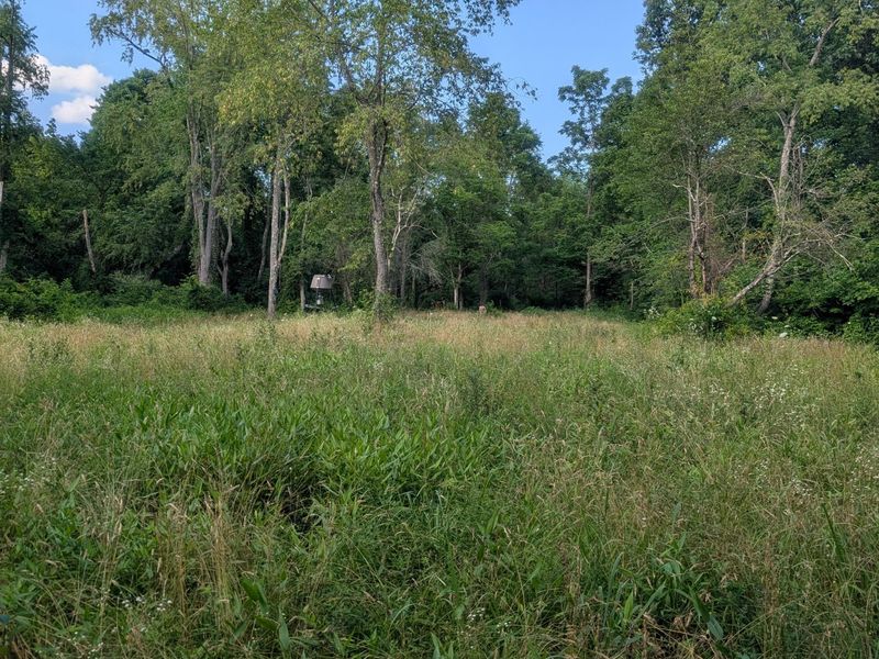 5055 Tract C Early Ridge , McConnelsville, OH 43756 Photo 11