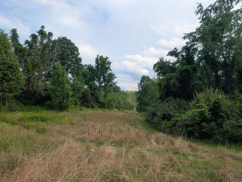 5055 Tract C Early Ridge , McConnelsville, OH 43756 Photo 12