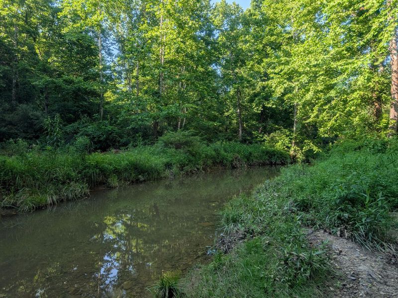 5055 Tract C Early Ridge , McConnelsville, OH 43756 Photo 14