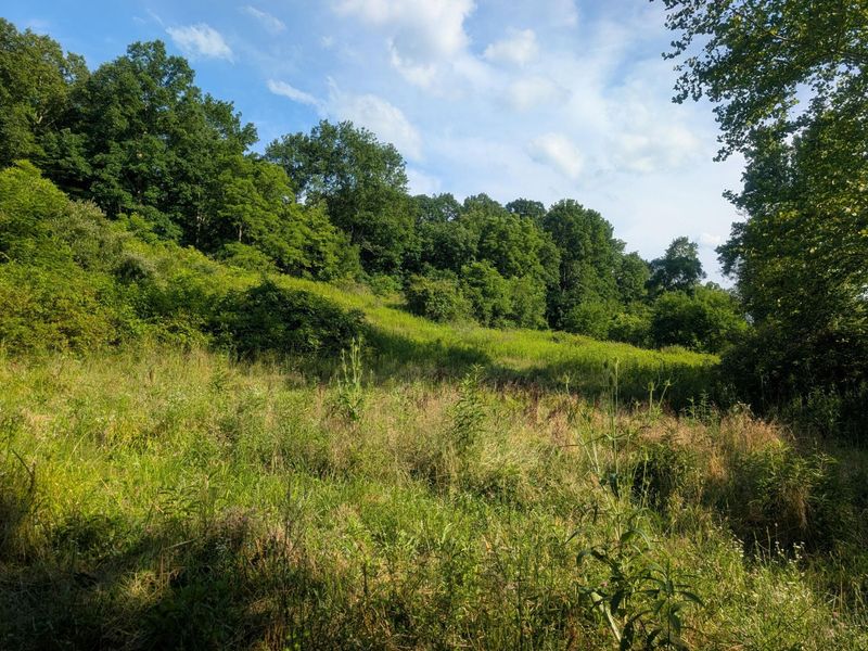 5055 Tract C Early Ridge , McConnelsville, OH 43756 Photo 15