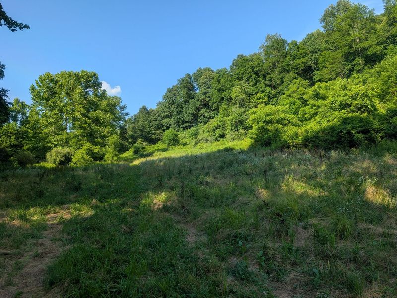 5055 Tract C Early Ridge , McConnelsville, OH 43756 Photo 16