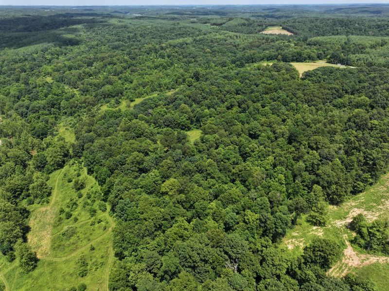 5055 Tract C Early Ridge , McConnelsville, OH 43756 Photo 2